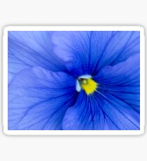 Blauer Stiefmütterchen Sticker