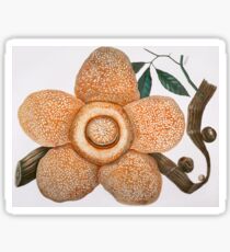 Rafflesia Arnoldii Sticker