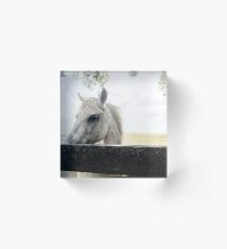 White Horse Acrylic Block
