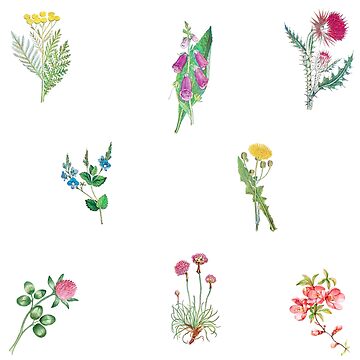 Watercolor Wildflowers Bouquets Summer Collection