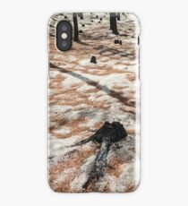 Devastation iPhone Case