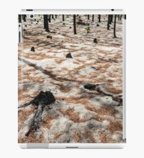Devastation iPad Case/Skin
