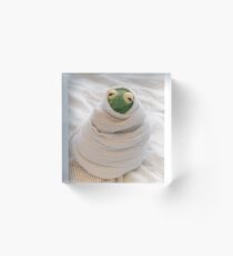 Snug Kermit Acrylic Block