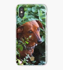 Penny iPhone Case/Skin