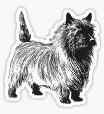 cairn terrier drawing Sticker