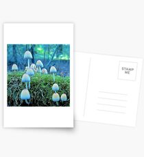 Fairyland Postcards