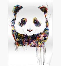 panda Poster