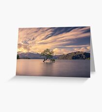 Willow Tree, Lake Wanaka Greeting Card