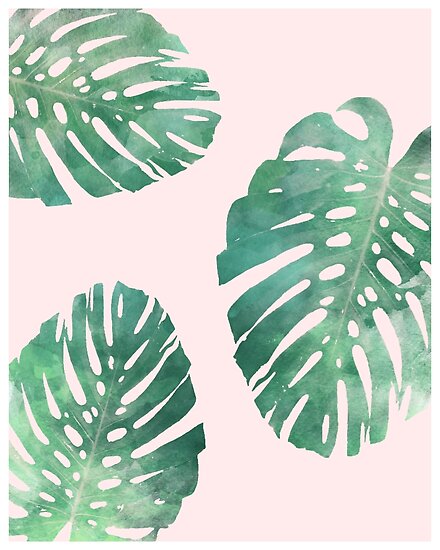 Watercolor Tropical Monstera Leaves On Pink Background Poster By