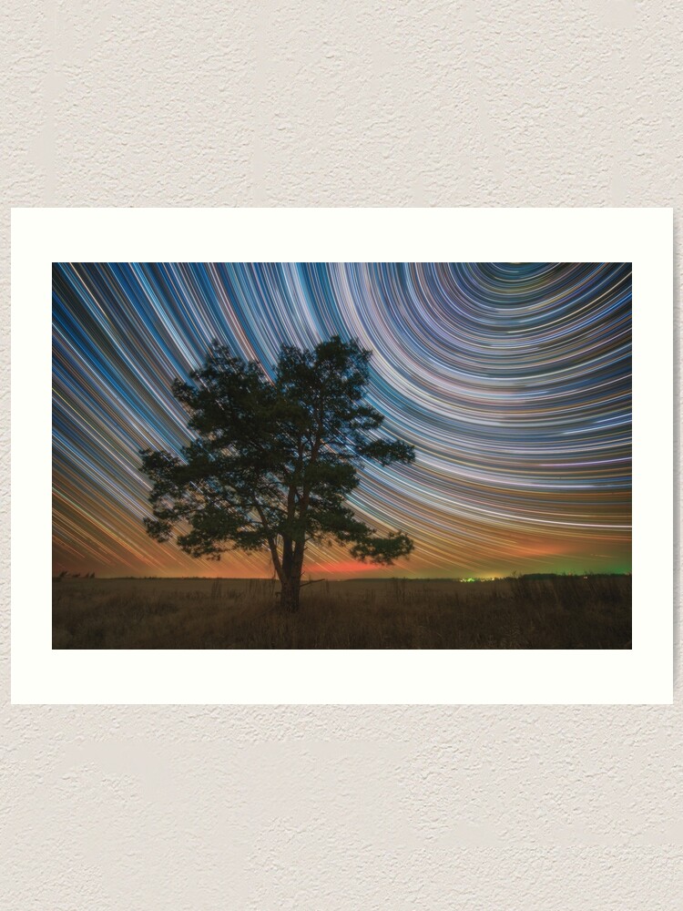 Alternate view of Lone pine Art Print