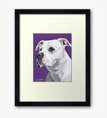 Pit bull Art by Lee H Keller Framed Print