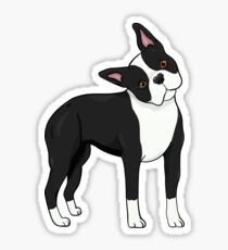 Adorable Boston Terrier Sticker