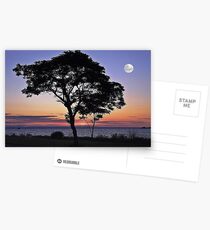By The Light Of The Silvery Moon Postcards