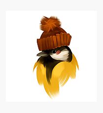 Cute bird in a winter knitted hat Photographic Print