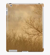 Golden Mists II iPad Case/Skin