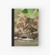 Cute Maine Coon Cat Kitten Photo Portrait Hardcover Journal