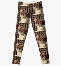 Collies and Pawprints Leggings
