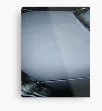 rainwetted Metal Print