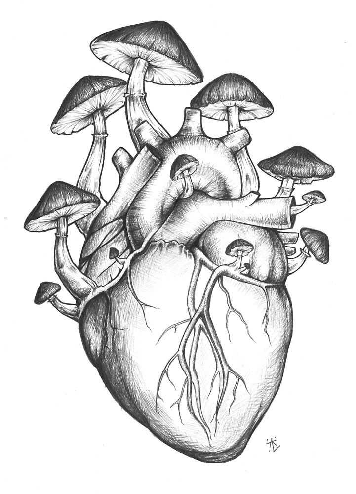 "Mushroom Heart" by annatenae Redbubble