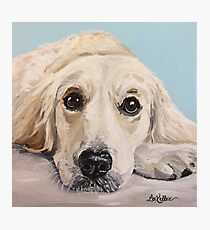 Golden Retriever Art Photographic Print