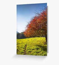 Red-Green-Blue Greeting Card