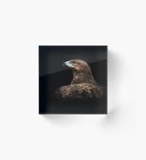 Eagle portrait Acrylic Block