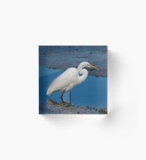 Egret Portrait Acrylic Block