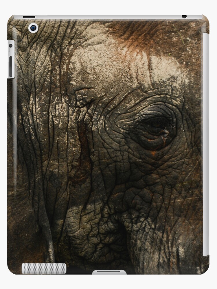 Elephant Eye Ipad Case Skin By Abgphotography Redbubble