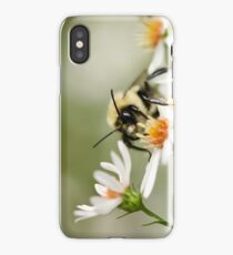 Bumble iPhone Case/Skin
