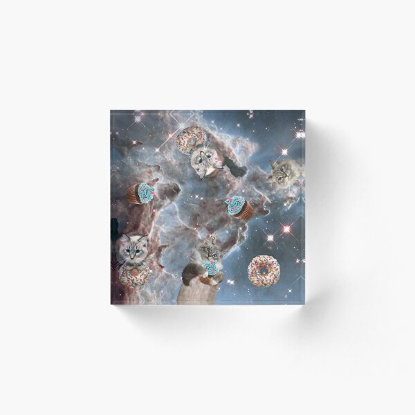 Cupcake Donut Space Cat Acrylic Block