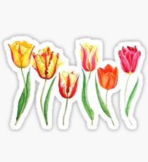 colorful tulips Sticker