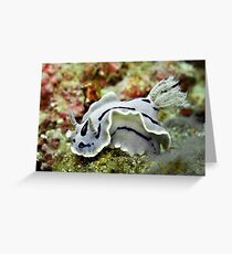 Nudibranch Greeting Card