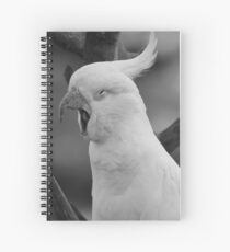 Cuaderno de espiral Un Cockatiel bostezando
