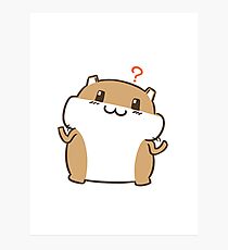 Hamster Photographic Print