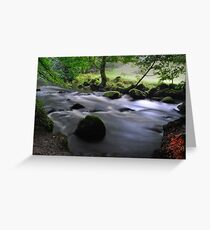 Golitha Falls, Cornwall Greeting Card