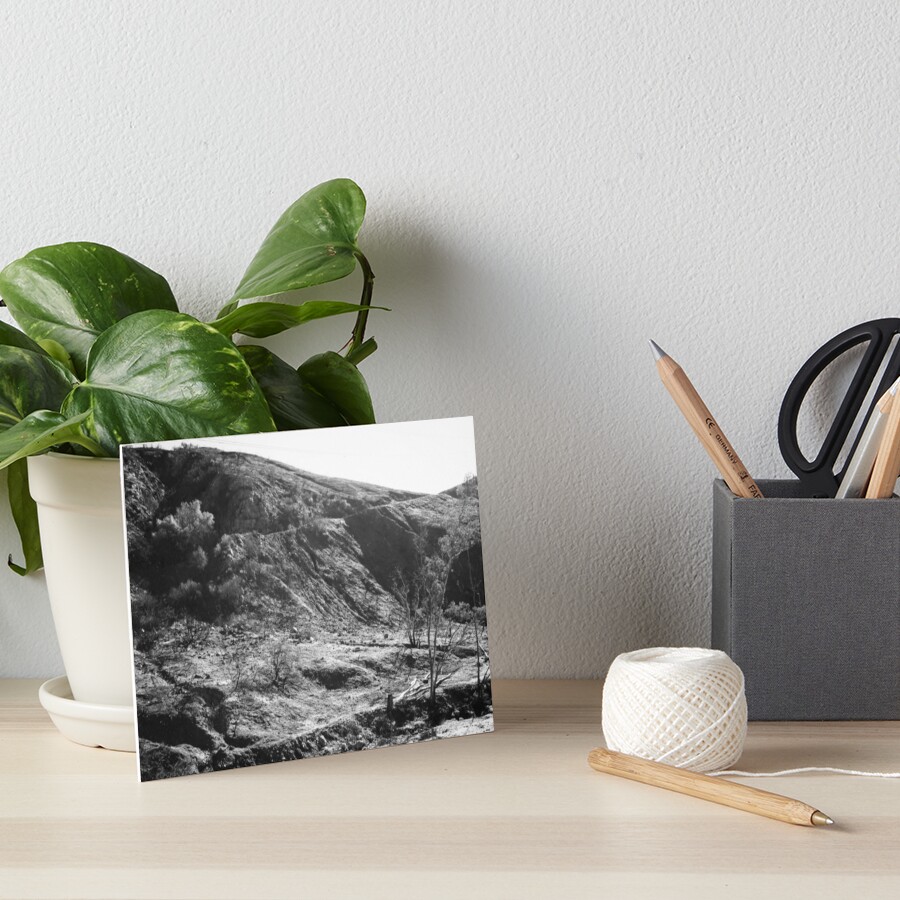Little Tujunga Canyon #2 Art Board Print