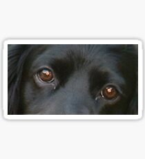 ECS black eyes Sticker