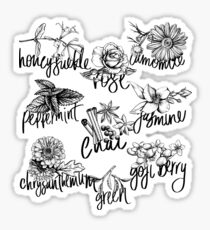 Types of tea 2 Sticker