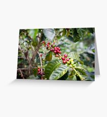 Young and strong! = coffee time Greeting Card
