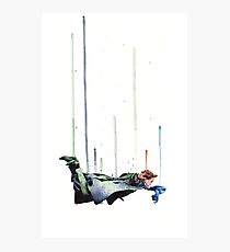 Sherlock Holmes: The Reichenbach Fall Photographic Print