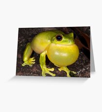 Red-Eyed Tree Frog Greeting Card