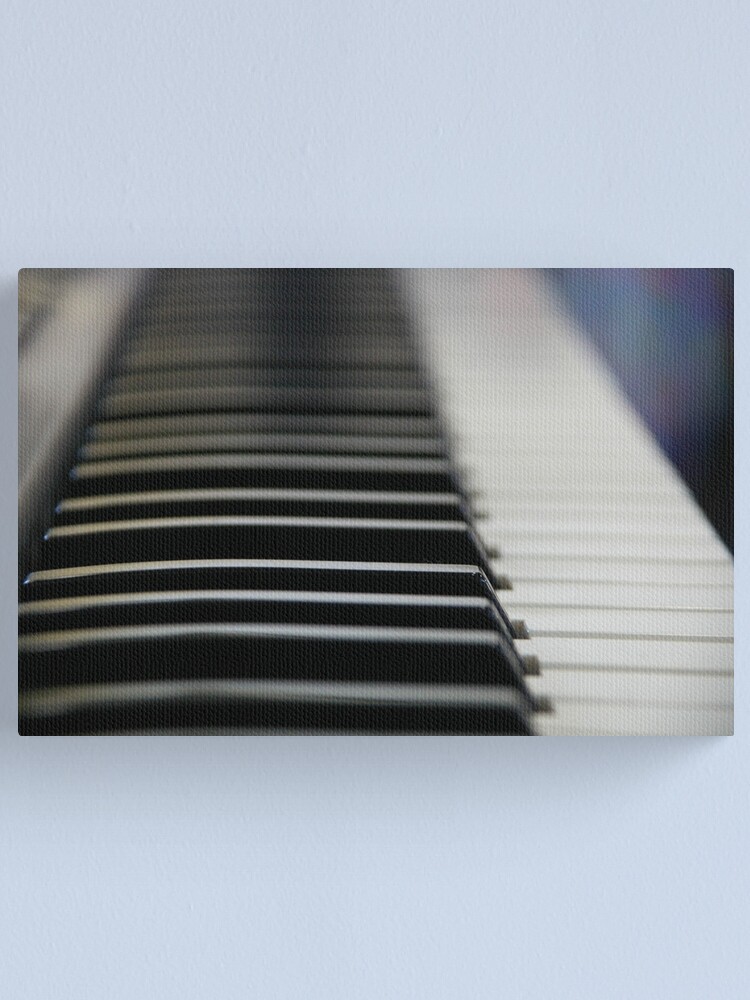 Alternate view of Ebony And Ivory Canvas Print