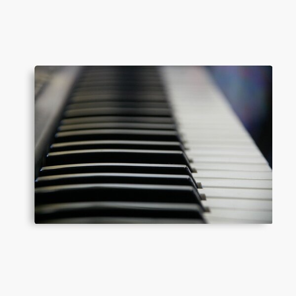 Ebony And Ivory Canvas Print