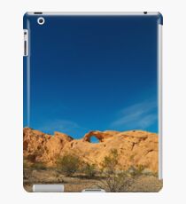 USA Nature 4 iPad Case/Skin