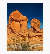 USA Nature 6 Photographic Print