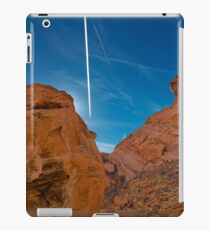 USA Nature 9 iPad Case/Skin