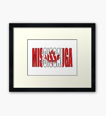 Mississauga Framed Print
