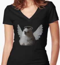 RIP Gabe Women's Fitted V-Neck T-Shirt