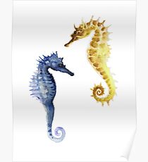 Seahorses Kunstdruck Aquarellgrafik, aquatische Wohnkultur Poster