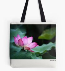 Water Lily by Winnie Tote Bag